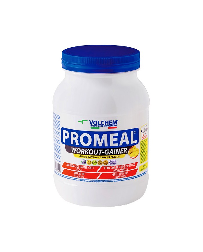 Volchem Gainer-Workout 1400gr