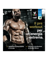 Net Nob 7 Extreme 304g