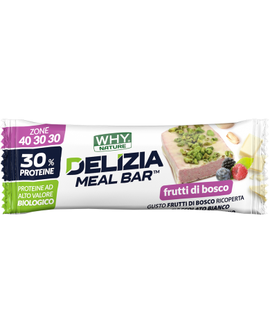 Why Nature Delizia Meal Bar 50gr Why Nature Delizia Meal Bar 50gr