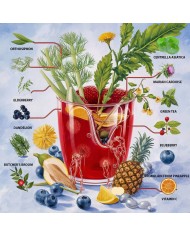 Volchem DRENFIZZ ® (drenante depurativo forte) - compresse efferves