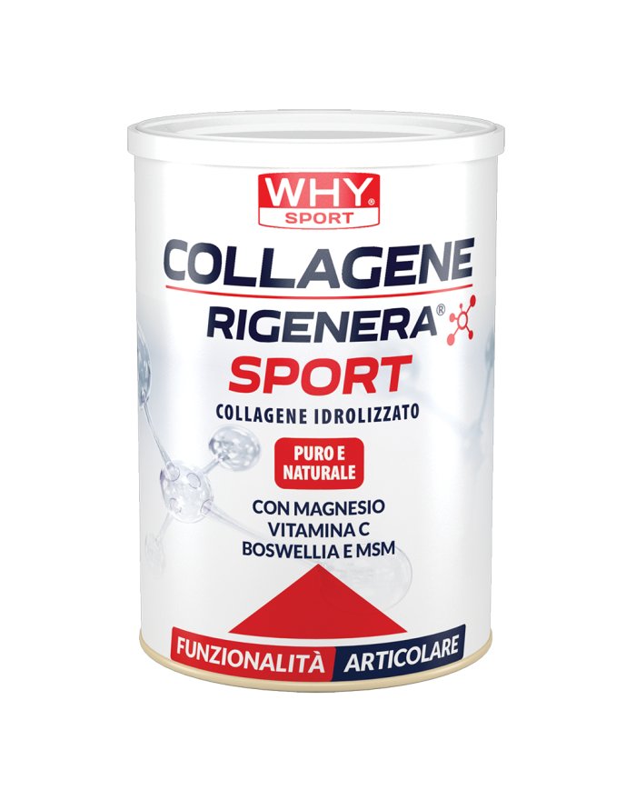 Why Sport Collagene Rigenera Sport 336g