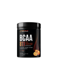 Self Omninutrition Bcaa 8:1:1 polvere 400 gr